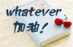 大型的專升本公司哪家好